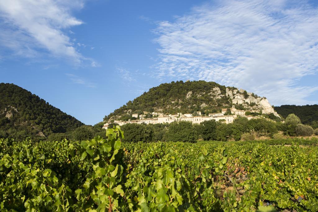 Hotellerie Du Domaine De Cabasse Séguret Exterior foto